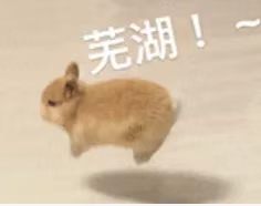 1783913612673617.jpg 微信图片_20260713112737_1240_2.jpg